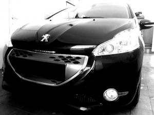 chiptuning peugeot 208 14ehdi